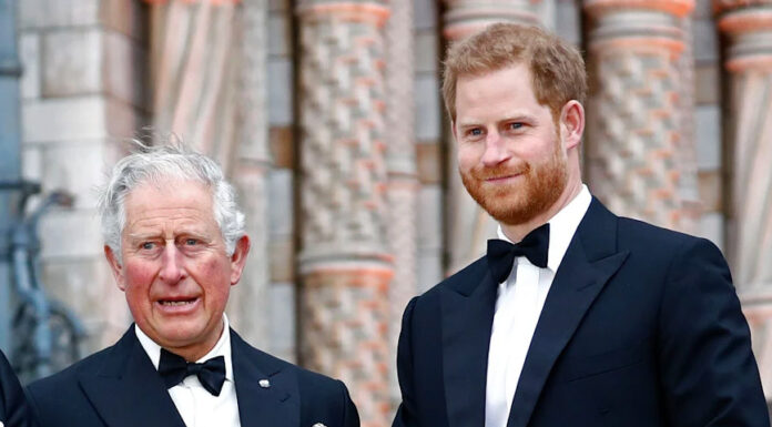 To, kako hitro je princ Harry pohitel k svojemu očetu, nakazuje na resnost stanja