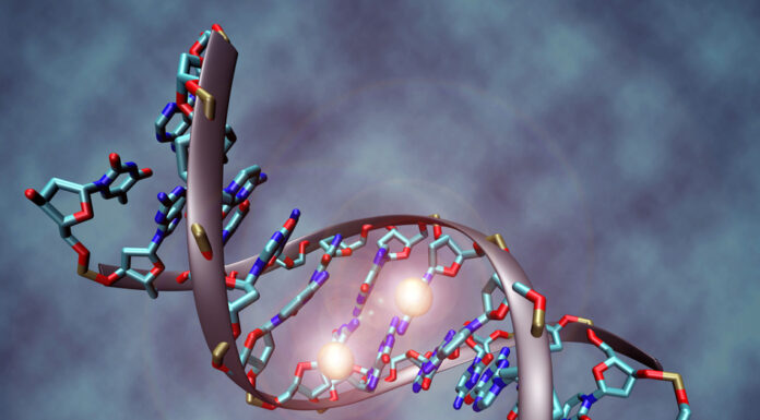 Čas je, da se nehate izgovarjati na “gene” in prevzamete odgovornost