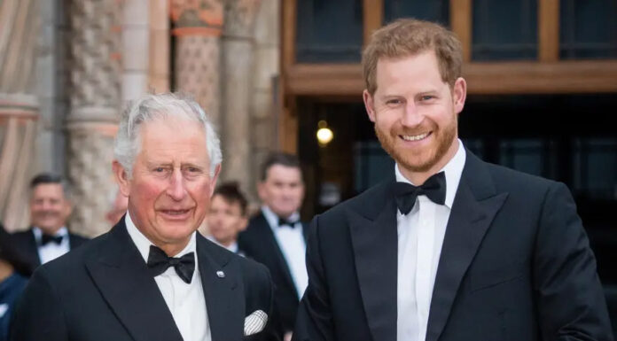 Takoj po postavitvi hude diagnoze je princ Harry pohitel k bolnemu očetu