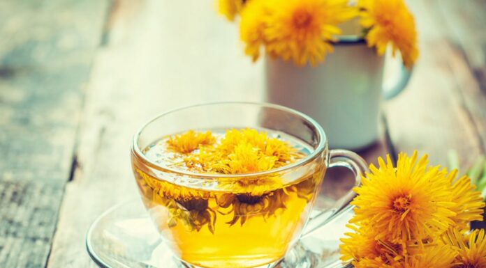 Kako pripraviti regratov čaj? 3 vrste regratovega čaja