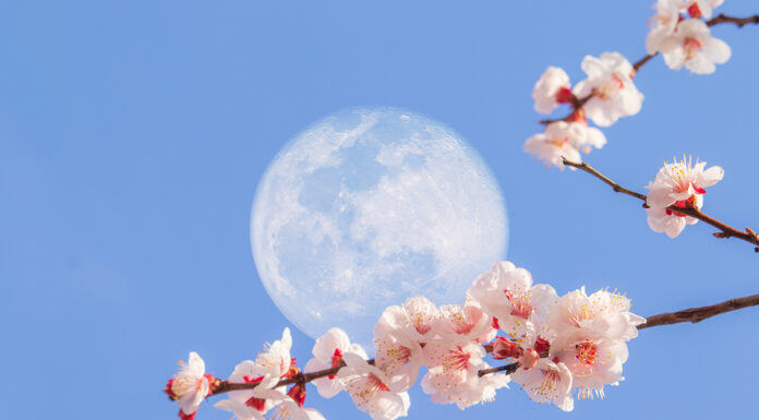 Kaj prinaša majska polna Luna v Škorpijonu?