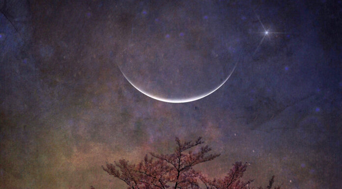 Kaj Mlaj v Dvojčkih 6. junija 2024 pomeni za vaše zodiakalno znamenje