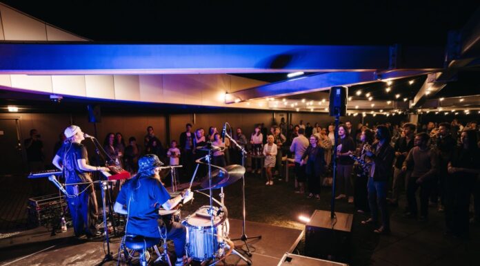 Tokrat na ALEJI SKY glasbeni večer z Zalo Smolnikar