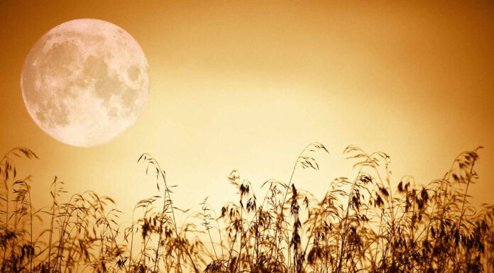 Kaj prinaša julijska polna Luna v Kozorogu?