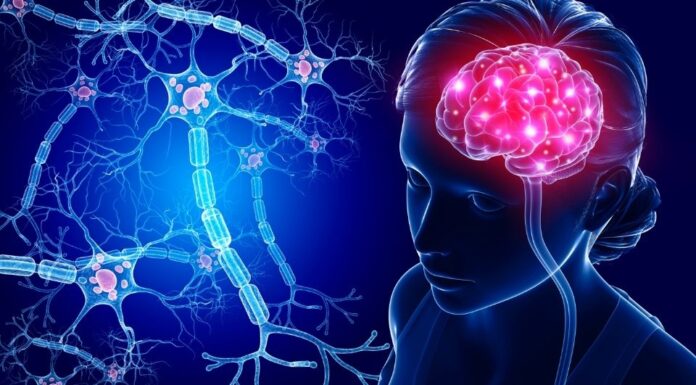 Strokovnjaki nevrologije opozarjajo: teh 9 navad uničuje vaše možgane