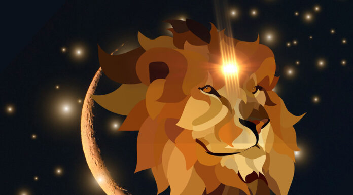 Kaj prinaša Mlaj v Levu v nedeljo, 4. avgusta?