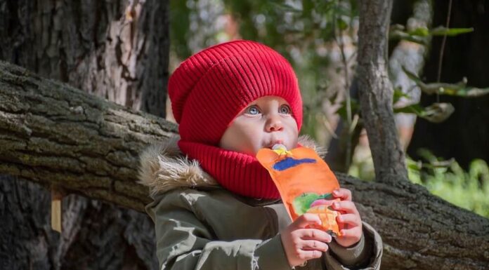 Test otroških sadnih kašic: so vir prostega sladkorja