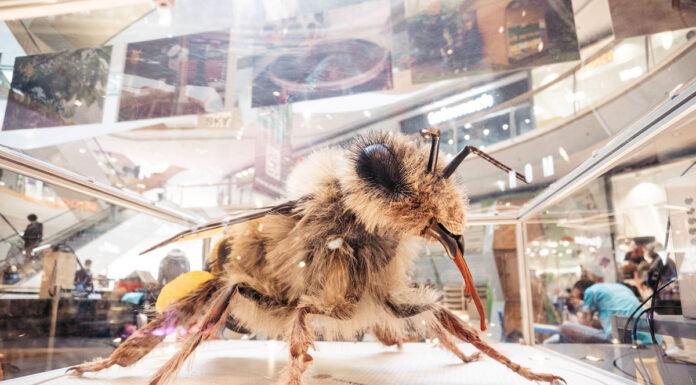 Tradicionalni slovenski zajtrk prvič v ALEJI v sklopu čebelarskega doživetja