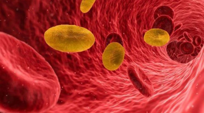 Kaj je zlata krvna skupina? Zakaj je tako redka in kdo jo ima?