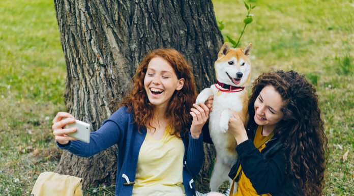 Test osebnosti: Slika, ki jo najprej vidite, razkriva, kaj pritegne ljudi k vam
