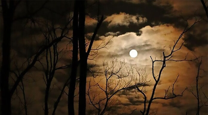 Prihaja predzadnja letošnja super polna Luna