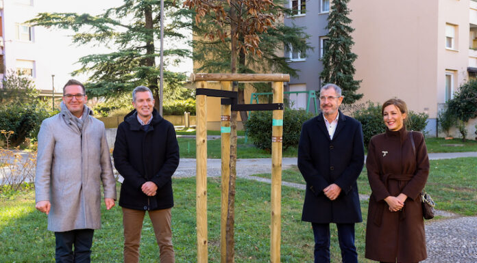 Gremo! zeleno: posadili 60 novih dreves za 60 let Krajevne skupnosti Nova Gorica