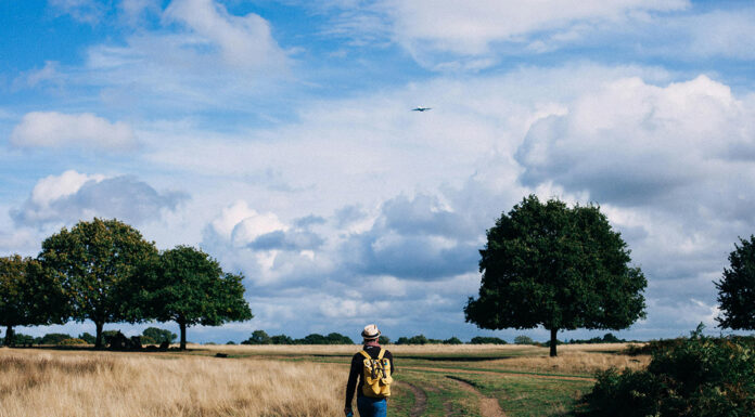 Iskanje ravnovesja: Sinergija fizične aktivnosti in duševnega dobrega počutja