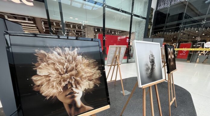 Ekskluzivno umetniško doživetje v Cityparku z razstavo čarobnih 3D slik