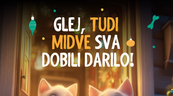 Zavarovalnica Sava podarja 5.000 € za pomoč živalim v stiski