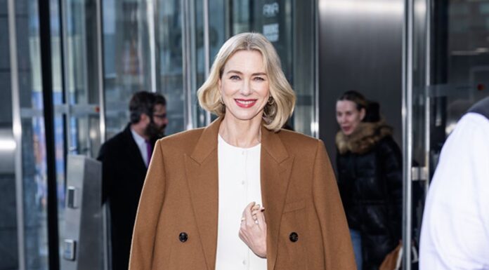 Zvezdnice očarale v tem elegantnem zimskem odtenku