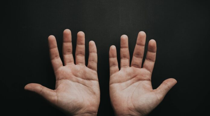 Test osebnosti: Kaj črte na dlaneh razkrivajo o vaši osebnosti?