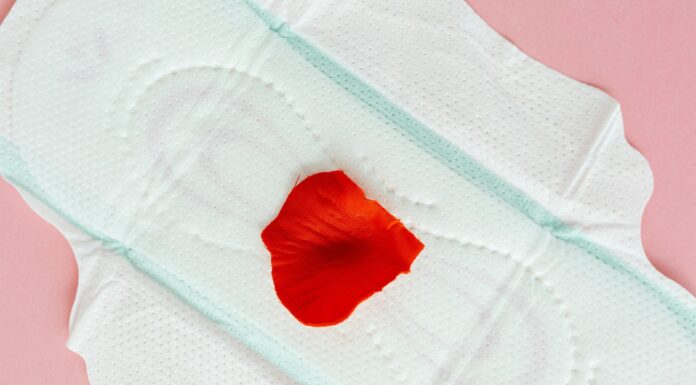 Menstrualna kri: izjemen vir multipotencialnih matičnih celic