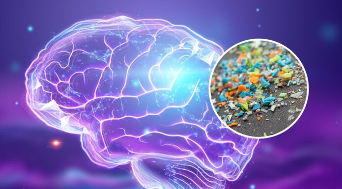 Mikroplastika v možganih: vzrok za depresijo in demenco