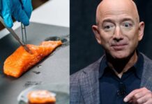 Jeff Bezos omogočil lososa iz laboratorija. Je to prihodnost morske hrane?