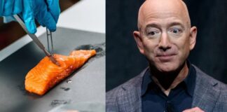 Jeff Bezos omogočil lososa iz laboratorija. Je to prihodnost morske hrane?