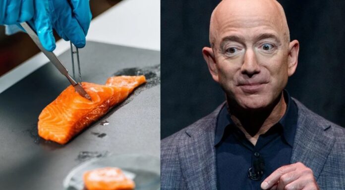 Jeff Bezos omogočil lososa iz laboratorija. Je to prihodnost morske hrane?