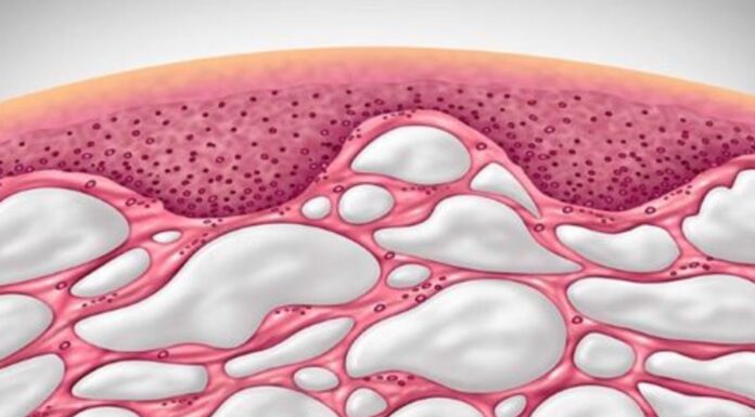 Znanstveniki so odkrili nov organ v človeškem telesu