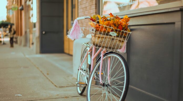 Danes je mednarodni dan kolesarjenja na delo