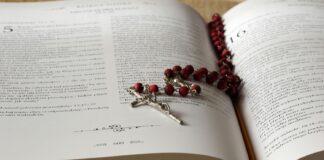 Inteligenčni kvocient (IQ) in religija: kaj so pokazale raziskave?
