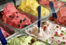 Sladoled, gelato, sorbet, zamrznjen jogurt, rastlinske alternative – poznate razliko?