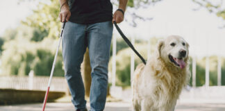 Slep moški, 34 let, spregledal, ko so mu v oko vsadili lastni zob