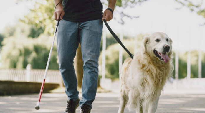 Slep moški, 34 let, spregledal, ko so mu v oko vsadili lastni zob