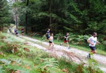 Pohitite s prijavo na 13. Triglav tek