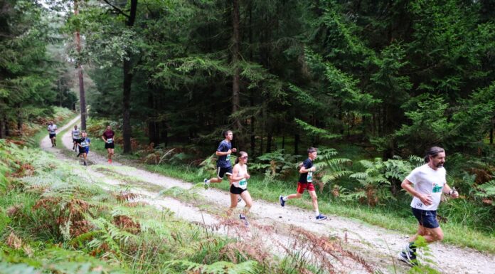 Pohitite s prijavo na 13. Triglav tek