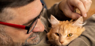 Zakaj so mačji »očetje« tako seksi?