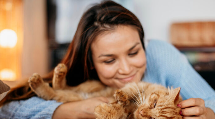 Ste mačji starš ali le velik mačji mladič? Znanost pojasnjuje, kako vas dojemajo mačke
