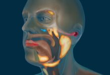 Znanstveniki odkrili nov organ v človeški glavi