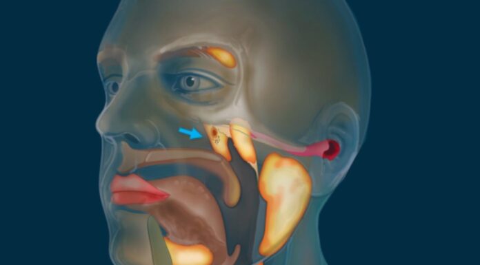 Znanstveniki odkrili nov organ v človeški glavi