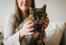 Najstarejša živeča mačka na svetu je praznovala 30 let