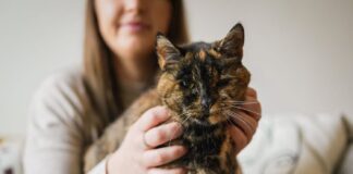 Najstarejša živeča mačka na svetu je praznovala 30 let
