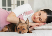 Moški (naj)bolje spijo ob ženski – ženske ob psu