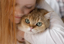 Se vam zdi, da vas vaša mačka (naj)bolj razume? Morda imate prav