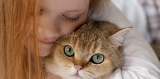 Se vam zdi, da vas vaša mačka (naj)bolj razume? Morda imate prav