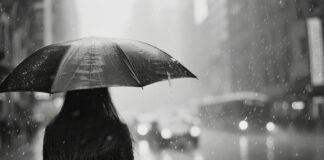 Januar 2026: najmanj sonca od leta 1972