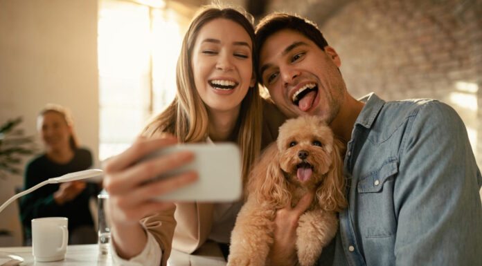 Terapevtske živali: Zdravilna moč družbe živali