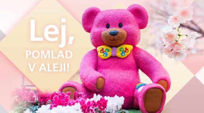 ALEJA v cvetju pozdravlja pomlad in praznuje dan žena