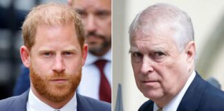 Princ Harry zafrustriran, ker ga primerjajo s princem Andrewom