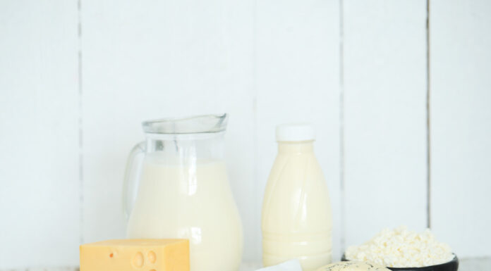 Nasičene živalske maščobe: vir dolgoročnega zdravja možganov in telesa