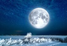 Kaj prinaša snežna polna Luna 1. februarja?