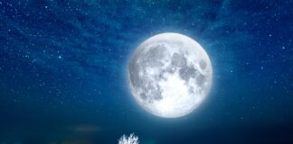 Kaj prinaša snežna polna Luna 1. februarja?